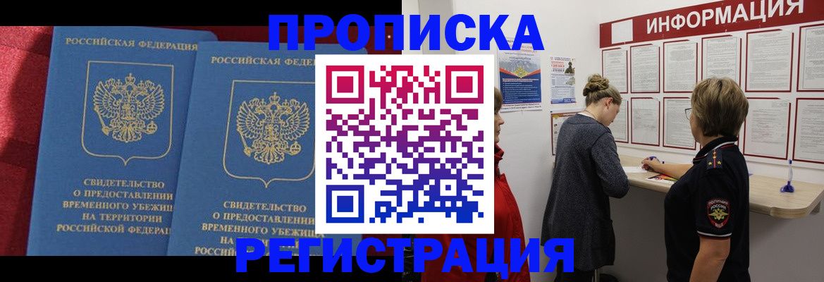 прописка в Ельне